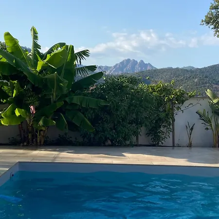 Allegria 3 6 Pers Piscine Chauffee A Lucie De Portovecchio Vakantiehuis